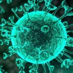 Коронавірусна інфекція covid-19 – причини, ознаки і способи профілактики